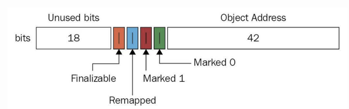 gc-collector-20231230104802