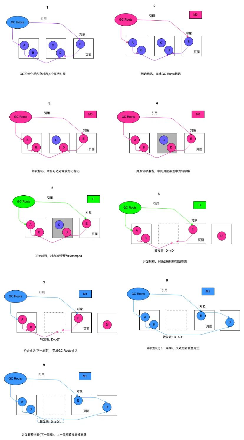 gc-collector-20240102142638