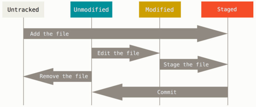 image-20211114150922382